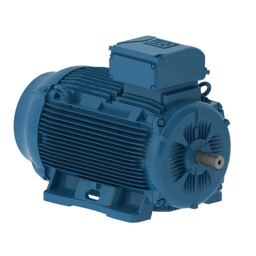 WEG AC Induction Motors